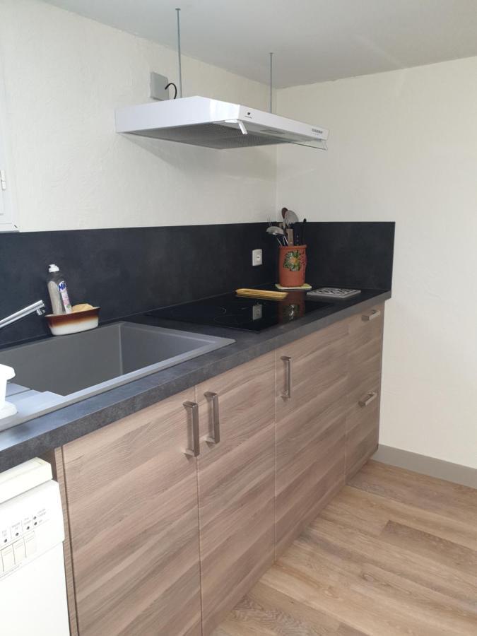 T1 Dans Maison Au Calme Réalmont Esterno foto
